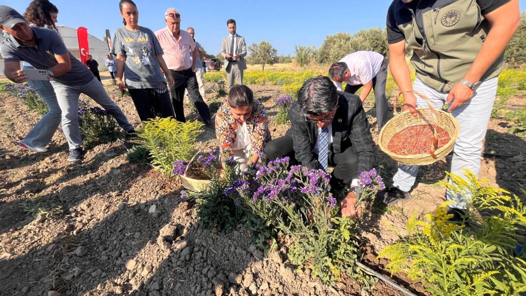 Toprağının verimi ve tarım ürünleriyle ünlü Çanakkale'ye bu kez bitki ekildi 6